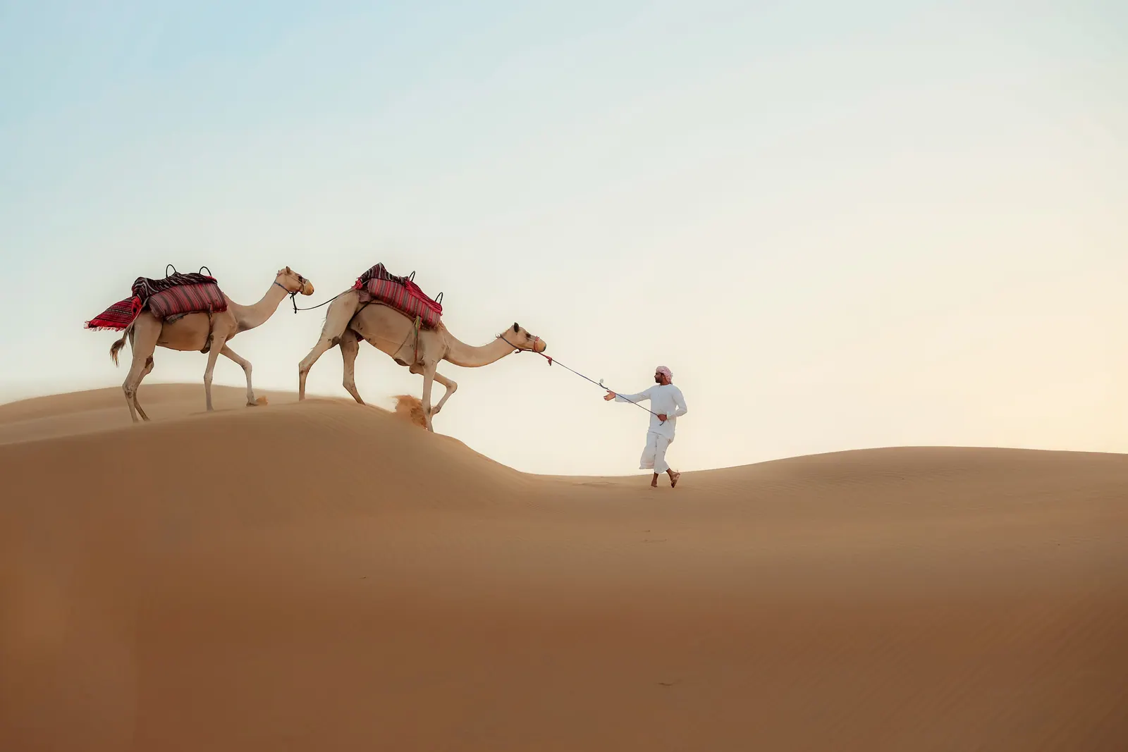 Guests on a guided camel ride across Al Khatim dunes at golden hour, Abu Dhabi desert
