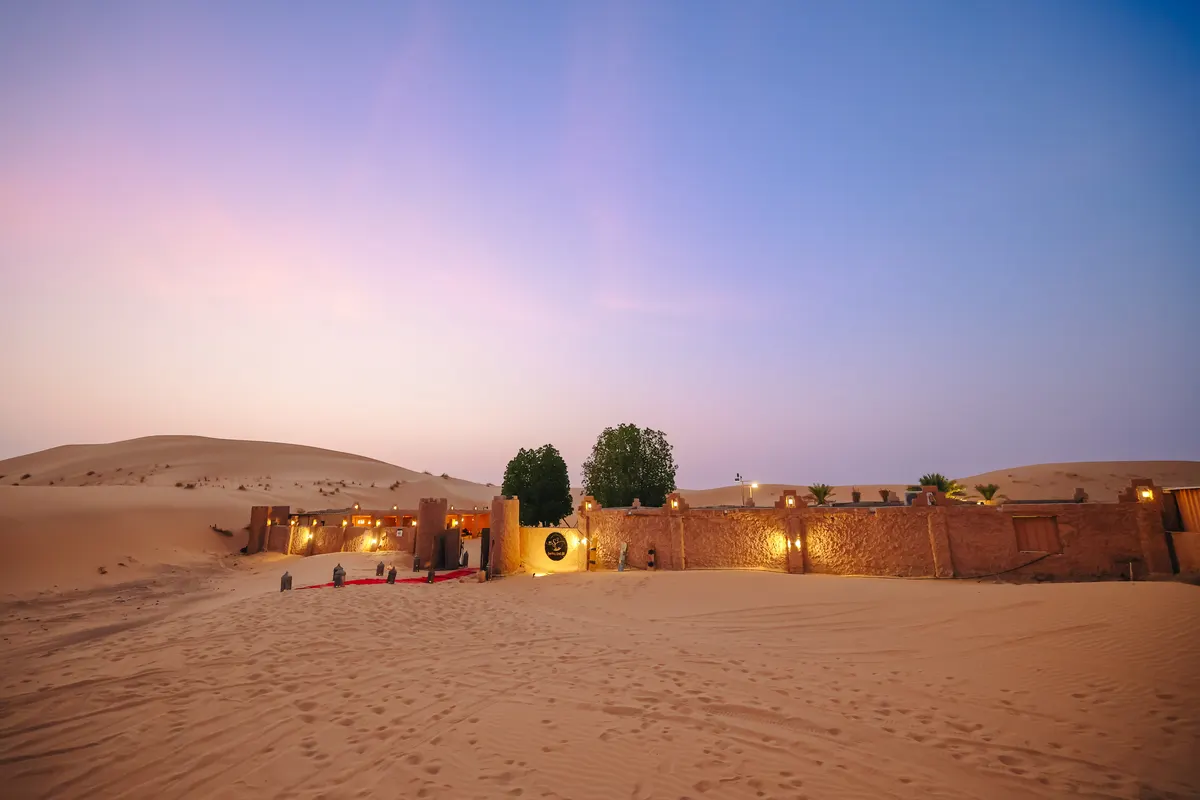 Camel Riding in the UAE: What It Is Actually Like