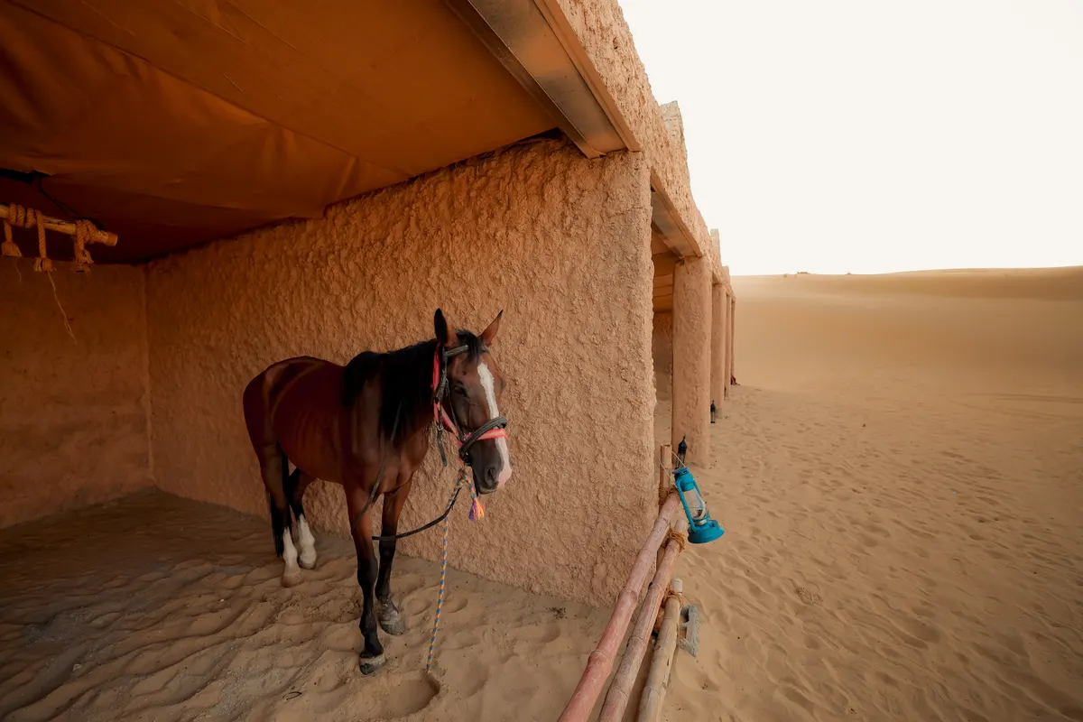 Hidden Gems of Al Wathba and Al Khatim